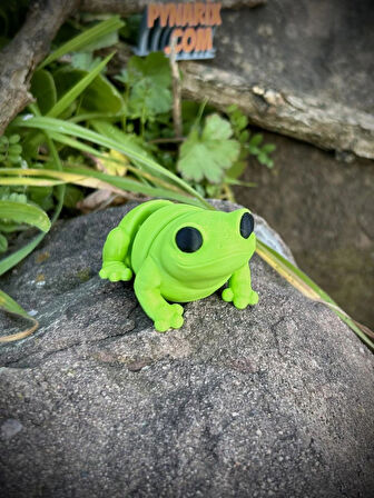 Oyuncak Kurbağa - Zıplamanın Neşesi! 🐸🌿 3D Hareketli Organik Model - Orta Boy