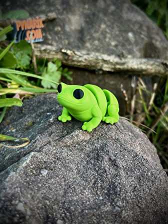 Oyuncak Kurbağa - Zıplamanın Neşesi! 🐸🌿 3D Hareketli Organik Model - Orta Boy