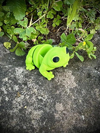 Oyuncak Kurbağa - Zıplamanın Neşesi! 🐸🌿 3D Hareketli Organik Model - Orta Boy