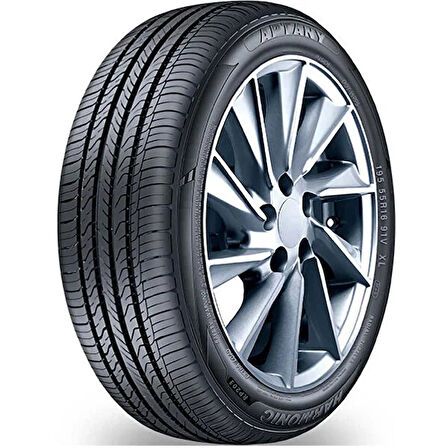 Aptany RP203 175/60R13 77T (Yaz) (2024)