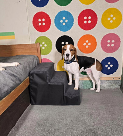 Holidog Büyük Boy Kedi Ve Köpek Merdiveni Ortopedik Basamaklı Fermuarlı Sert Süngerli 40cm X 52cm X 52cm