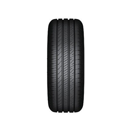 Goodyear EfficientGrip Performance 2 205/55R16 91V