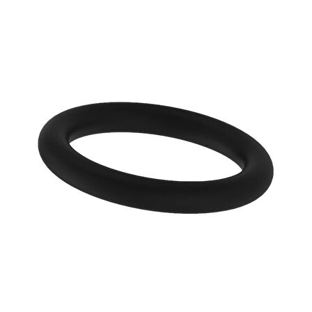 O-Ring L53890