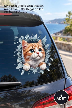 1 Adet Kedi Tasarımlı Araç Stickerı – Kırık Cam Efektli Cam Sticker, Araç Etiketi, Car Decal, 10X10 CM Model Karışık