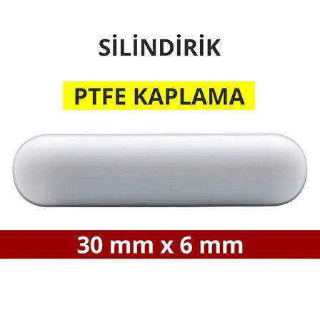 Manyetik Balık - Silindirik (PTFE Kaplı) - 30 mm x 6 mm