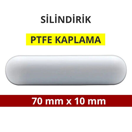 Manyetik Balık - Silindirik (PTFE Kaplı) - 70 mm x 10 mm