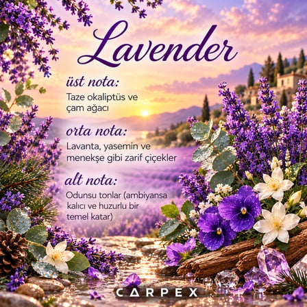 Carpex Lavender Aroma Oil Koku Kartuşu 50 ml | Lavanta Limon ve Okaliptüs Kokulu