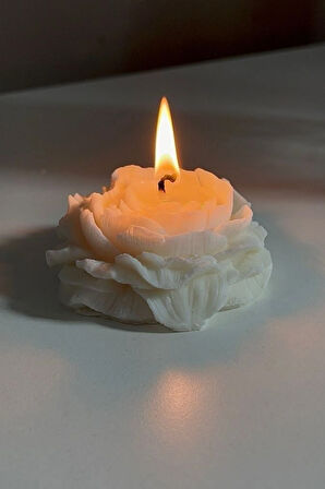 LUBERKA CANDLE Beyaz Şakayık Tasarım Mum 2'li