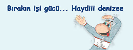 Haydii denizee Hediye Kupa Love Bug-T