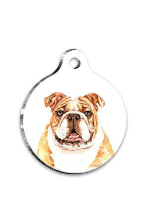 Suluboya Bulldog Yuvarlak Köpek Künyesi Large 3,8 cm