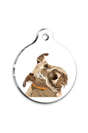 Tasarım Minyatür Schnauzer Yuvarlak Köpek Künyesi Large 3,8 cm