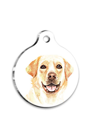 Suluboya Labrador Retriever Yuvarlak Köpek Künyesi Small 2,5 cm