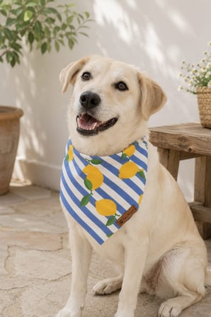 Kedi-Köpek Fuları, Pamuklu Kumaş, El Yapımı, Tüm Irklar İçin İdeal, Minik Limonlar Kedi/Köpek Fuları