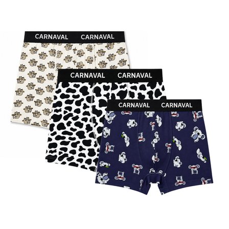 Carnaval Lazy Friends Erkek Boxer 3’lü Set