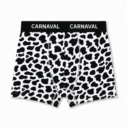 Carnaval Lazy Friends Erkek Boxer 3’lü Set
