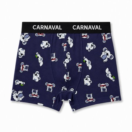 Carnaval Lazy Friends Erkek Boxer 3’lü Set