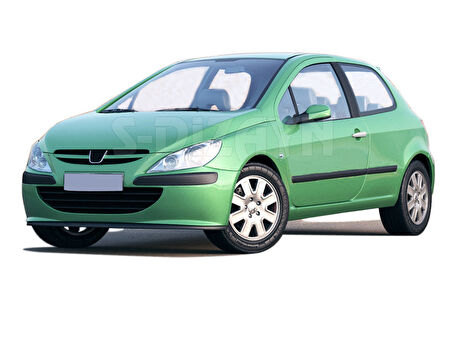 S-Dizayn Peugeot 307 Krom Kapı Kolu 2 Kapı 2001-2008