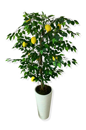 YAPAY AĞAÇ LİMON AĞACI 170 CM 56X30X20 BEYAZ KUMSAL SAKSI