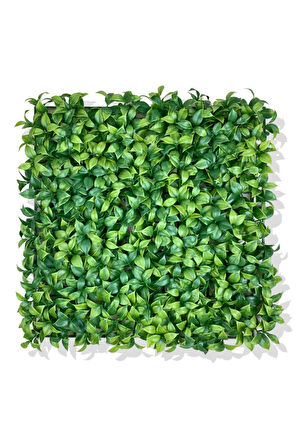 YAPAY AÇIK YEŞİL LİMON YAPRAĞI BİTKİ DUVAR KAPLAMA 50X50 CM