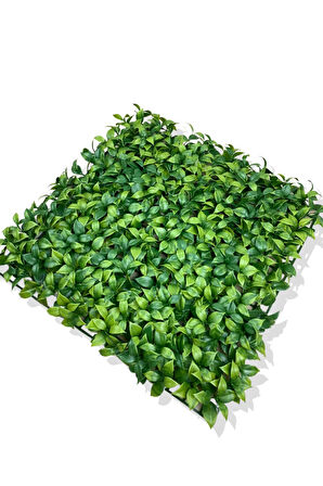 YAPAY AÇIK YEŞİL LİMON YAPRAĞI BİTKİ DUVAR KAPLAMA 50X50 CM