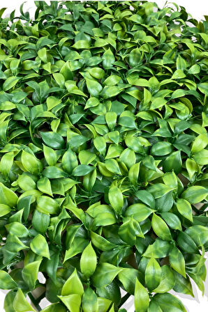 YAPAY AÇIK YEŞİL LİMON YAPRAĞI BİTKİ DUVAR KAPLAMA 50X50 CM