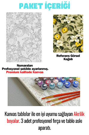 Sayılarla Boyama Çerçeveli Hobi Seti Numaralı Tuval Fırça Boya Dahil Kasnaklı PEMBE ORKİDE 40X50 Cm