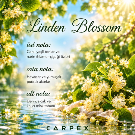 Carpex Linden Blossom Aroma Oil Koku Kartuşu 50 ml | Ihlamur Yasemin ve Misk Kokulu