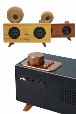 Gramafon Radyo Bluetooth Hoparlör Nostaljik Radyo FM Radyo - Lisinya