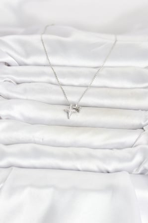Pirinç Gümüş Renk Minimal Kutup Yıldızı Model Kadın Kolye - Lisinya