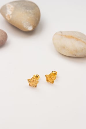 22 Ayar 1 Gram Yıldız Model Altın Küpe