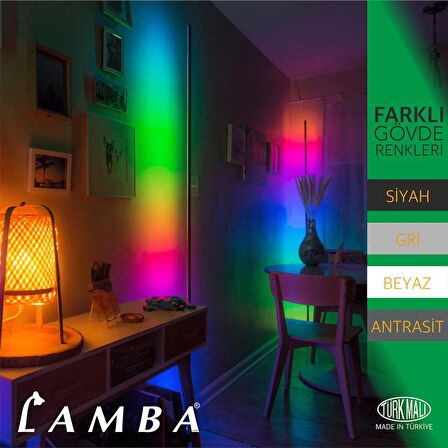 Lambaled Clarion Dimmer Kumandalı Pixel RGB Lambader