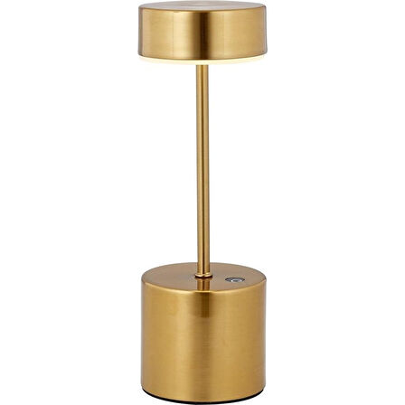 AVONNI ML-64003-EL Eskitme Lak Masa Lambası LED Metal Pleksi 9cm