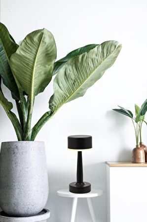 AVONNI ML-64005-BSY Siyah Boyalı Masa Lambası LED Metal Pleksi 11cm