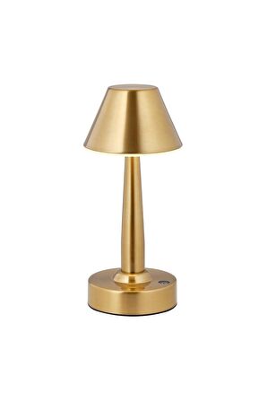 AVONNI ML-64006-EL Eskitme Lak Masa Lambası LED Metal Pleksi 11cm