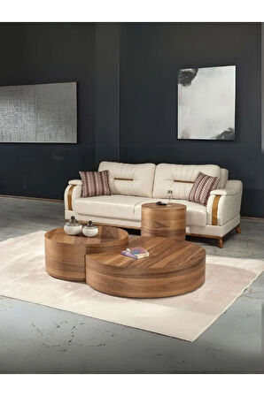 Walnut Ceviz Orta Sehpa Takımı
