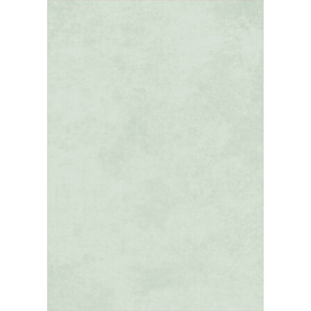 Eliana Home Dijital Baskı Yıkanabilir Kaymaz Taban Salon Halısı Ve Yolluk LN104-FNL410