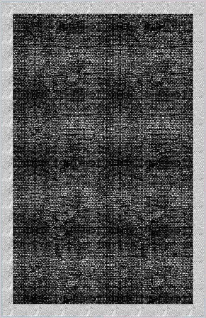 Dijital Baskı Yıkanabilir Kaymaz Taban Salon Halısı Ve Yolluk LNA0023-SD874