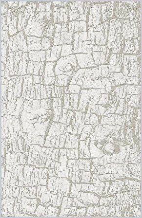 Dijital Baskı Yıkanabilir Kaymaz Taban Salon Halısı Ve Yolluk LNA0170-SD703