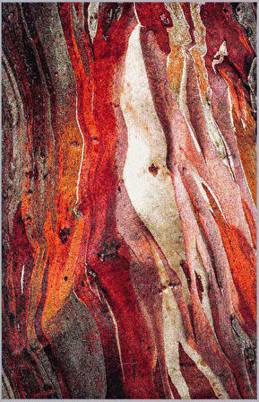 Dijital Baskı Yıkanabilir Kaymaz Taban Salon Halısı Ve Yolluk LNA0636