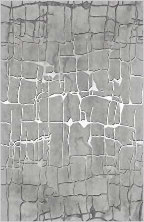 Eliana Home Dijital Baskı Yıkanabilir Kaymaz Taban Salon Halısı Ve Yolluk   LNA0694