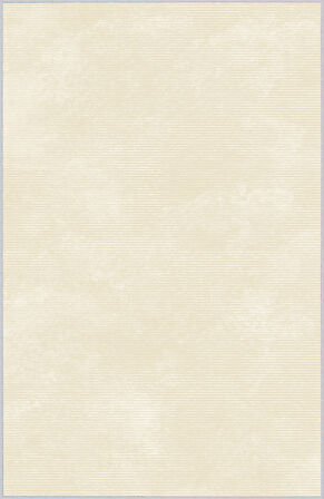 Dijital Baskı Yıkanabilir Kaymaz Taban Salon Halısı Ve Yolluk LNA1084