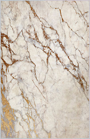 Dijital Baskı Yıkanabilir Kaymaz Taban Salon Halısı Ve Yolluk LNA1415