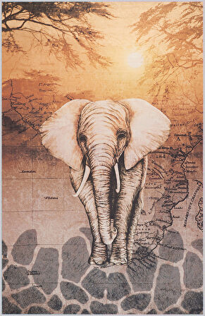 Dijital Baskı Yıkanabilir Kaymaz Taban Salon Halısı Ve Yolluk LNA1440