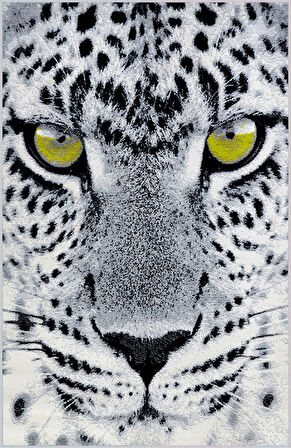 Dijital Baskı Yıkanabilir Kaymaz Taban Salon Halısı Ve Yolluk LNA1442