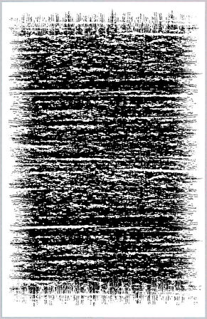 Dijital Baskı Yıkanabilir Kaymaz Taban Salon Halısı Ve Yolluk LNA1495