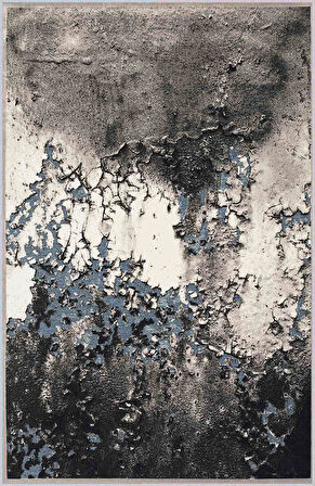 Dijital Baskı Yıkanabilir Kaymaz Taban Salon Halısı Ve Yolluk LNA1627