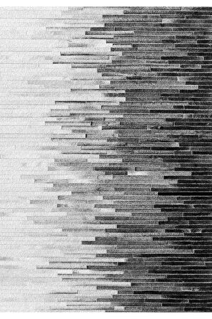 Eliana Home Dijital Baskı 2'li Banyo Paspas Takımı  LNA5-SM03 100x60 ve 60x50 cm