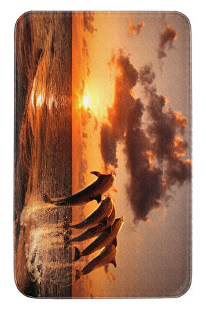 Eliana Home Dijital Baskı 2'li Banyo Paspas Takımı  LNA5042 100x60 ve 60x50 cm