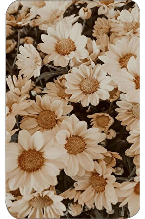 Eliana Home Dijital Baskı 2'li Banyo Paspas Takımı  LNA5079 100x60 ve 60x50 cm