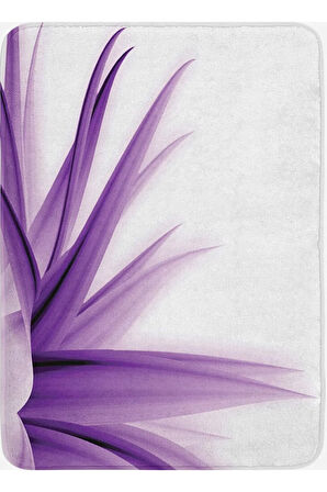 Eliana Home Dijital Baskı 2'li Banyo Paspas Takımı  LNA5133 100x60 ve 60x50 cm